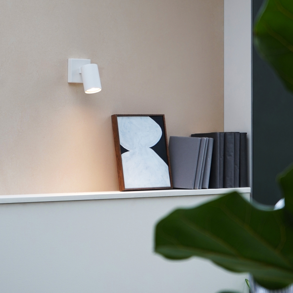 Ascoli Single sittandes på en vägg över en hylla med böcker.