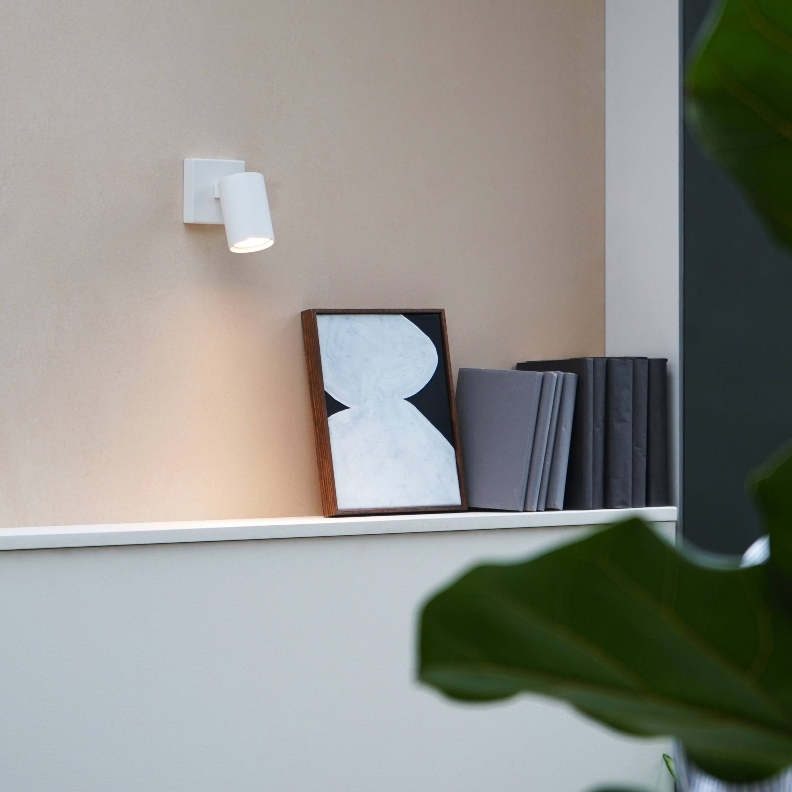 Ascoli Single sittandes på en vägg över en hylla med böcker.